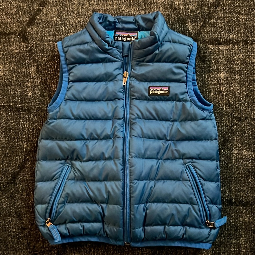 Patagonia Toddler Boy Blue Vest